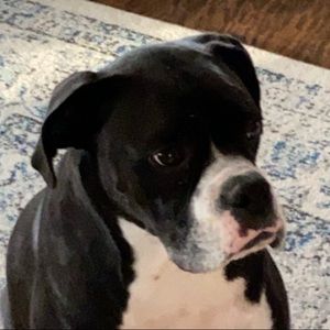 Meet your Posher, Judson